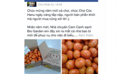 Dân công sở đua nhau bán hàng Tết online